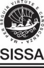 SISSA